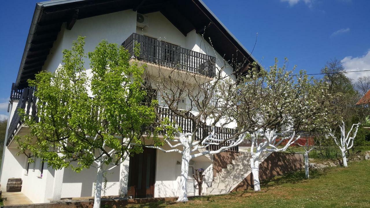 Apartment Silvia 斯诺基 外观 照片